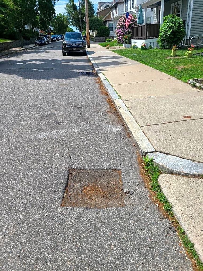 Image submitted with report