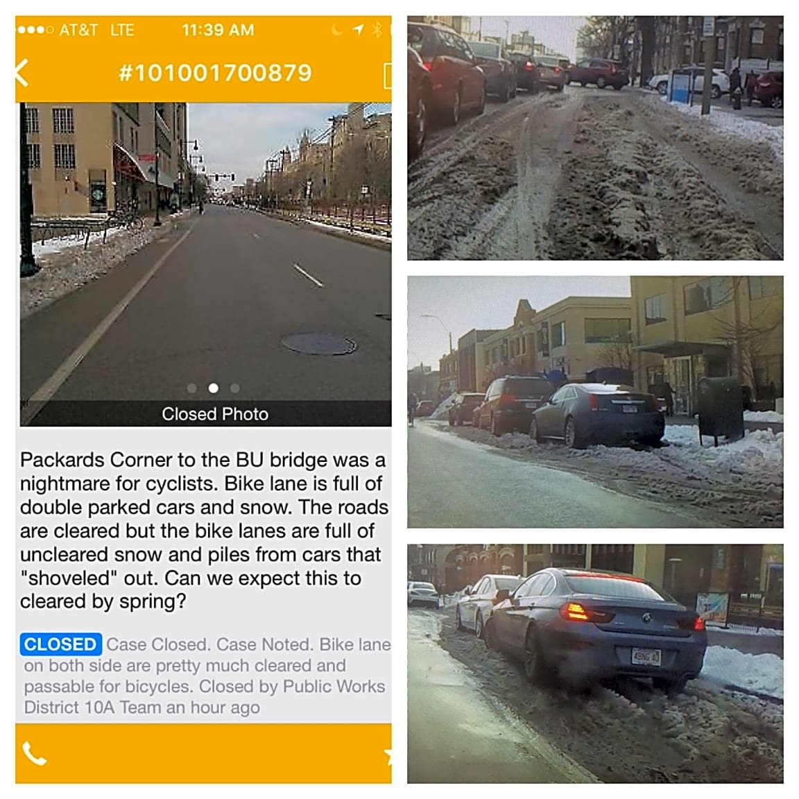 Image submitted with report