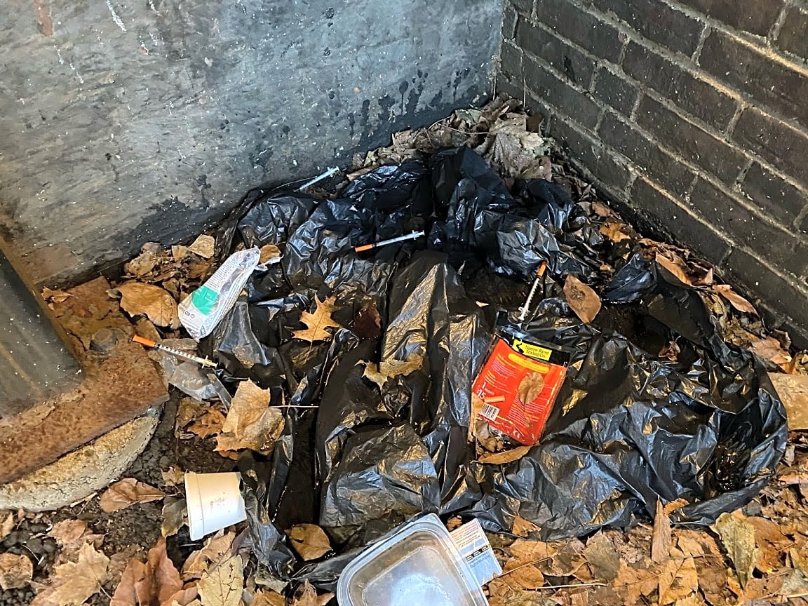 Image submitted with report