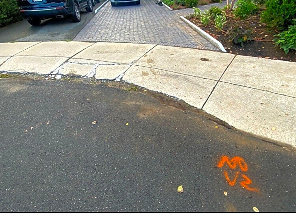 Image submitted with report