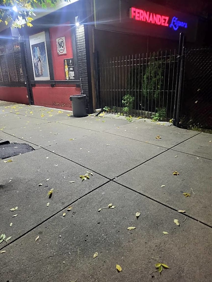 Image submitted with report