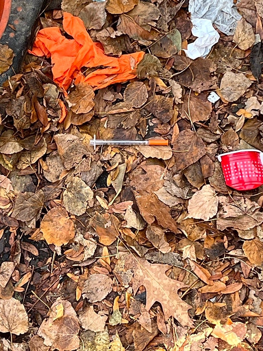 Image submitted with report