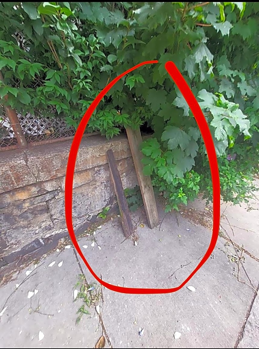 Image submitted with report