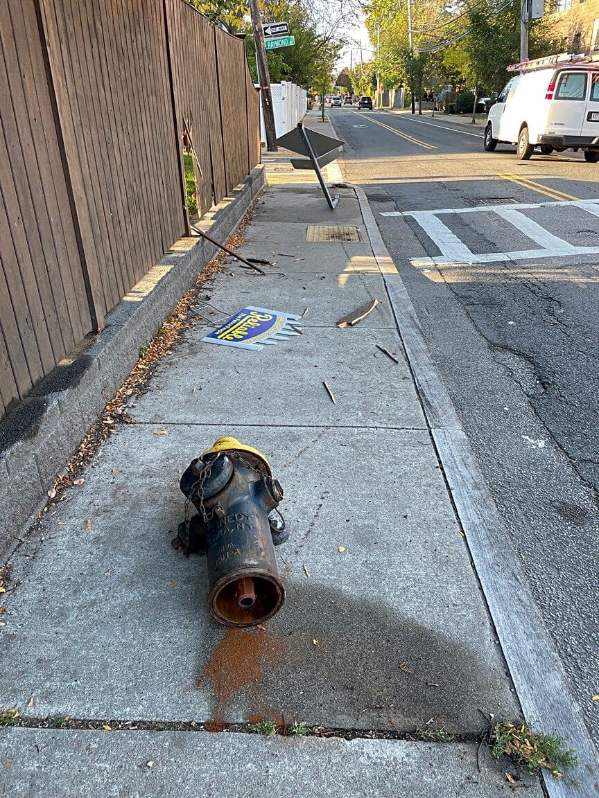 Image submitted with report