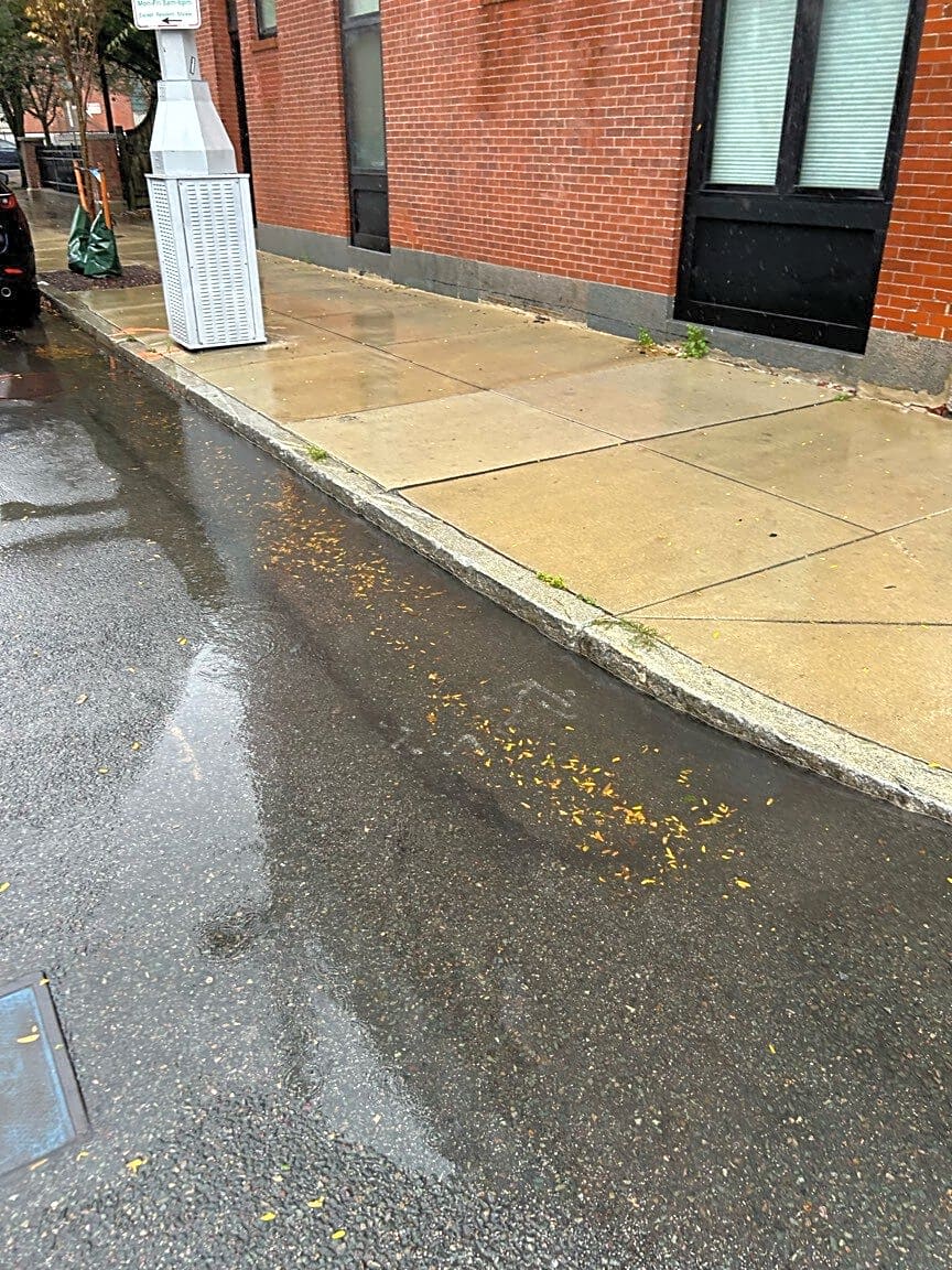 Image submitted with report