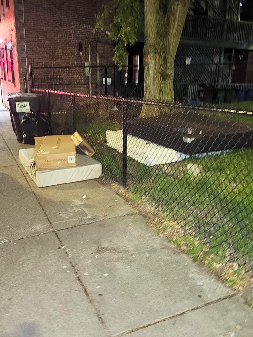 Image submitted with report