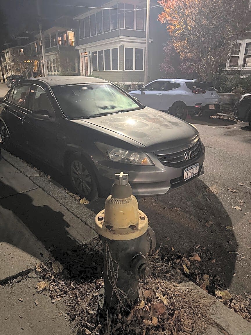 Image submitted with report