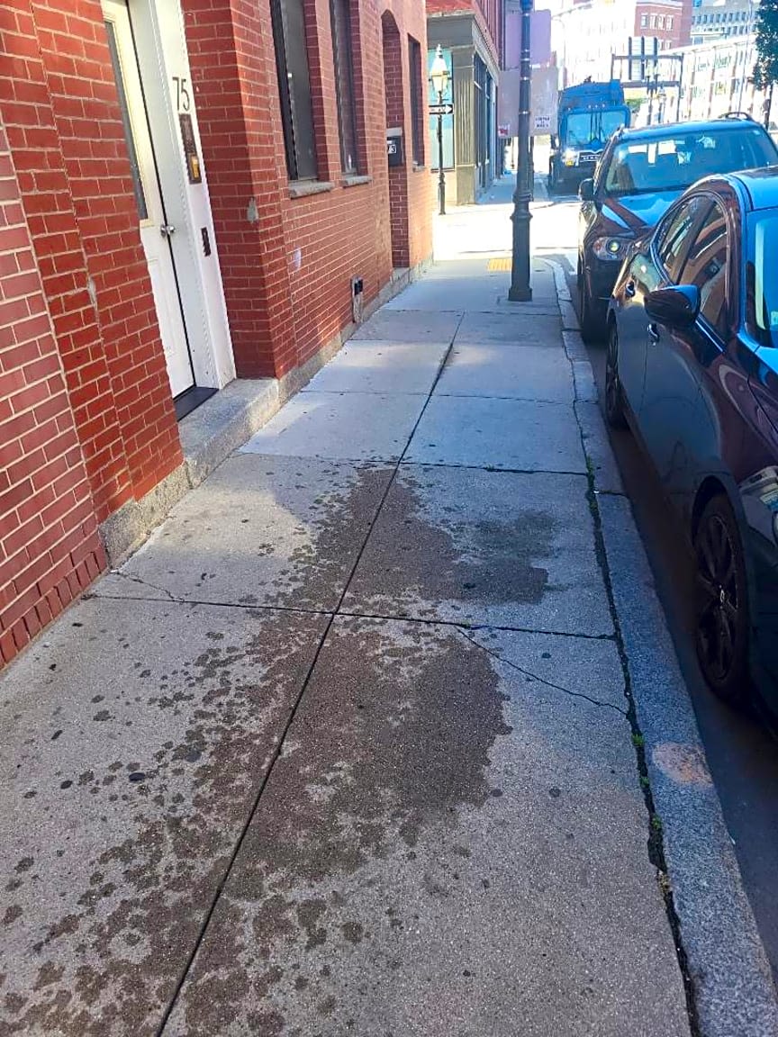 Image submitted with report