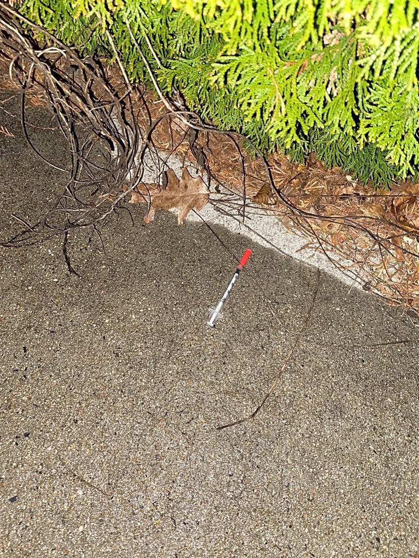 Image submitted with report