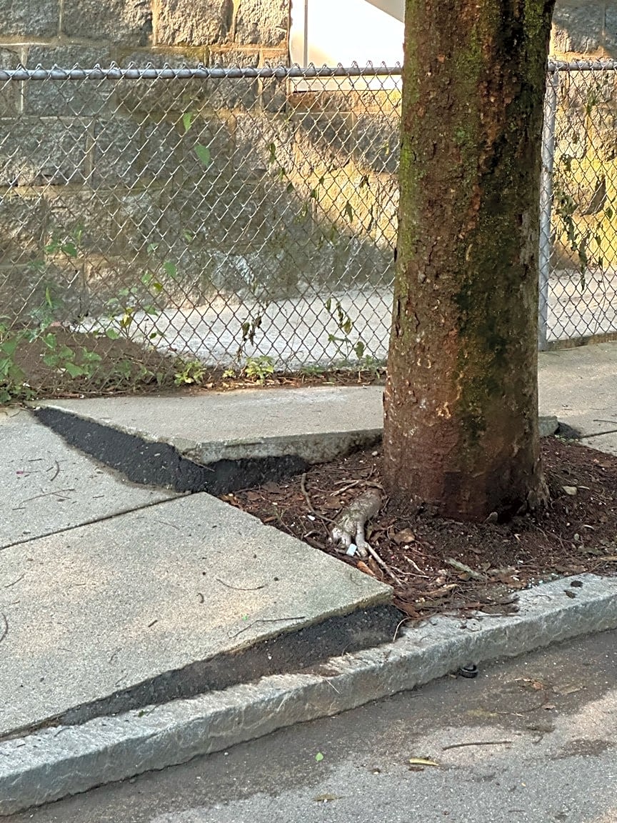 Image submitted with report