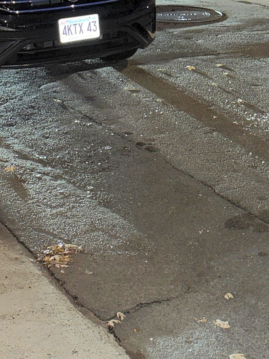 Image submitted with report