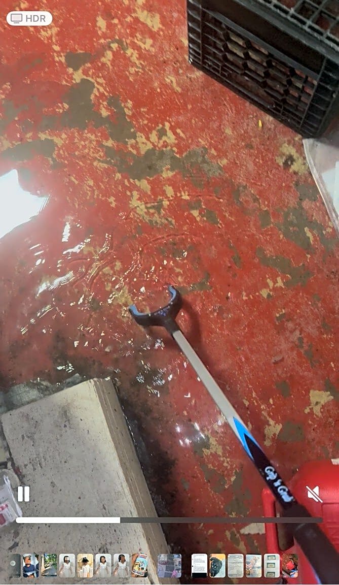 Image submitted with report