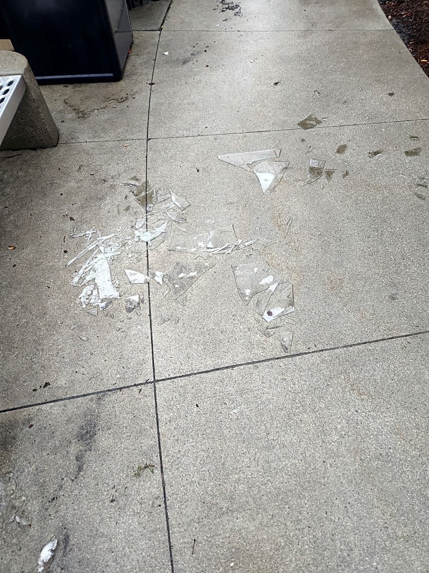 Image submitted with report