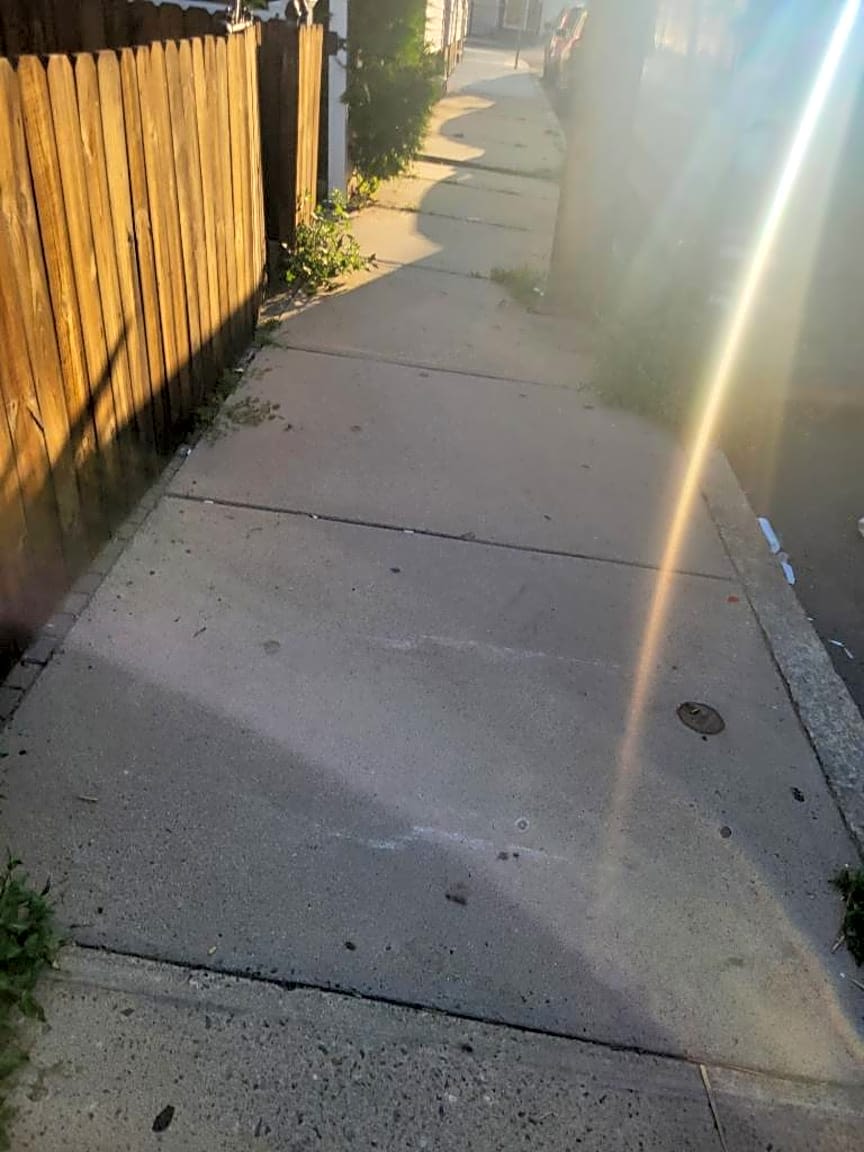 Image submitted with report