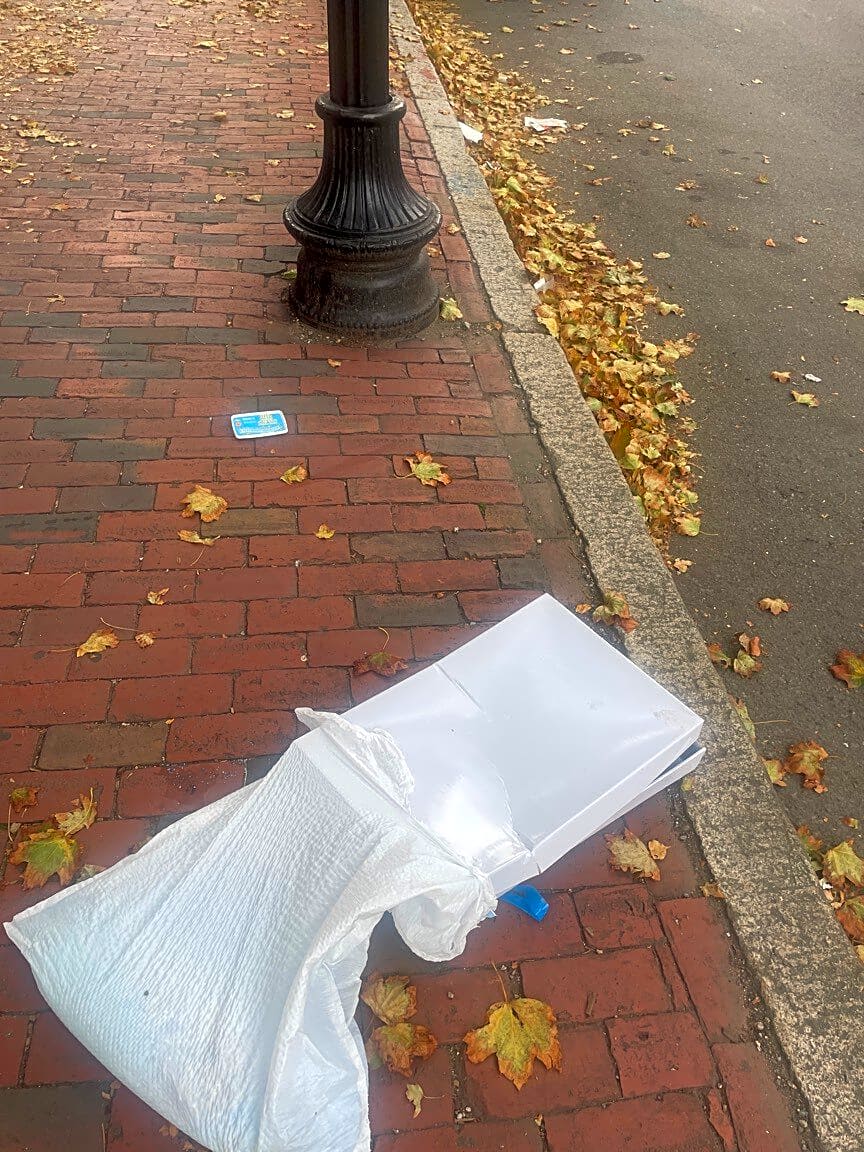 Image submitted with report