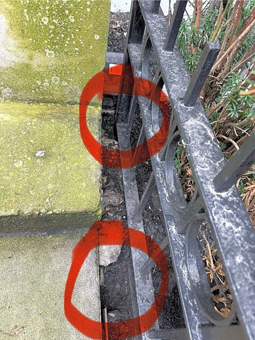 Image submitted with report