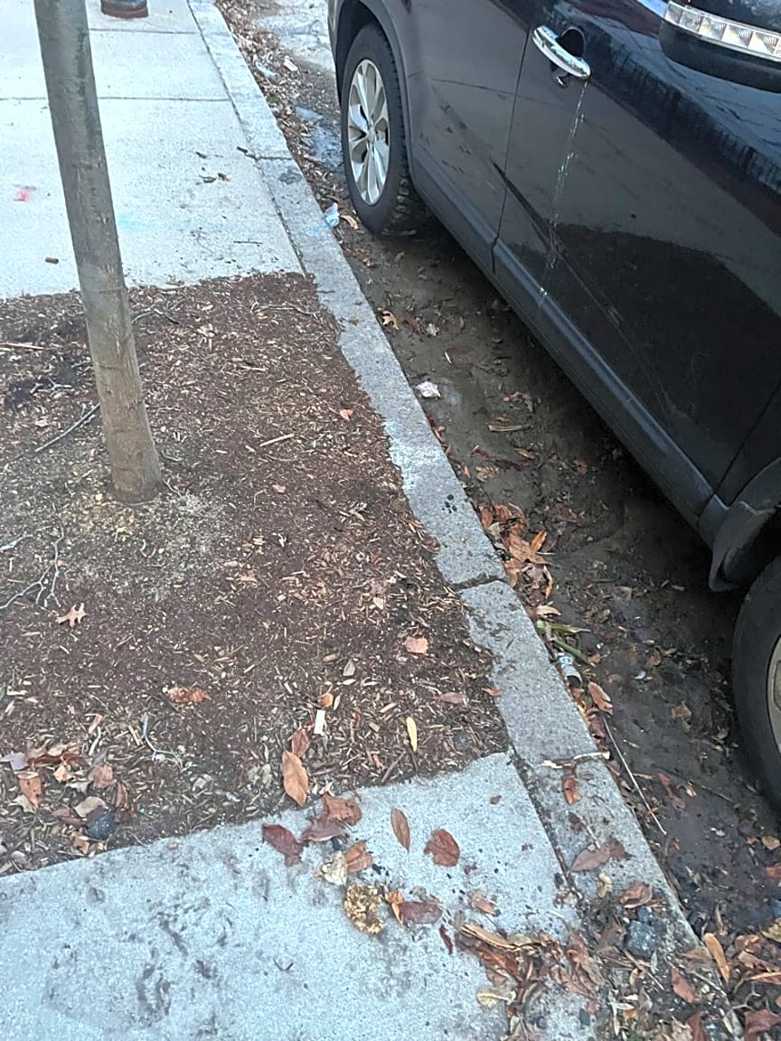 Image submitted with report