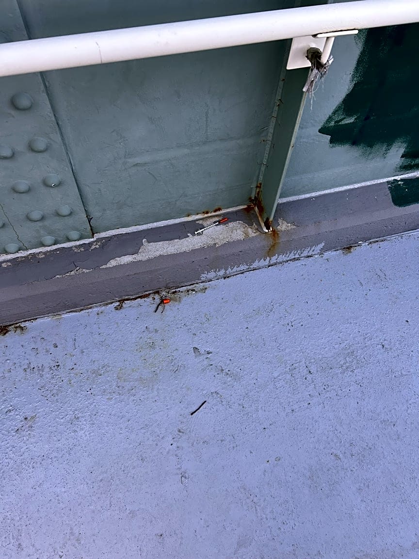 Image submitted with report