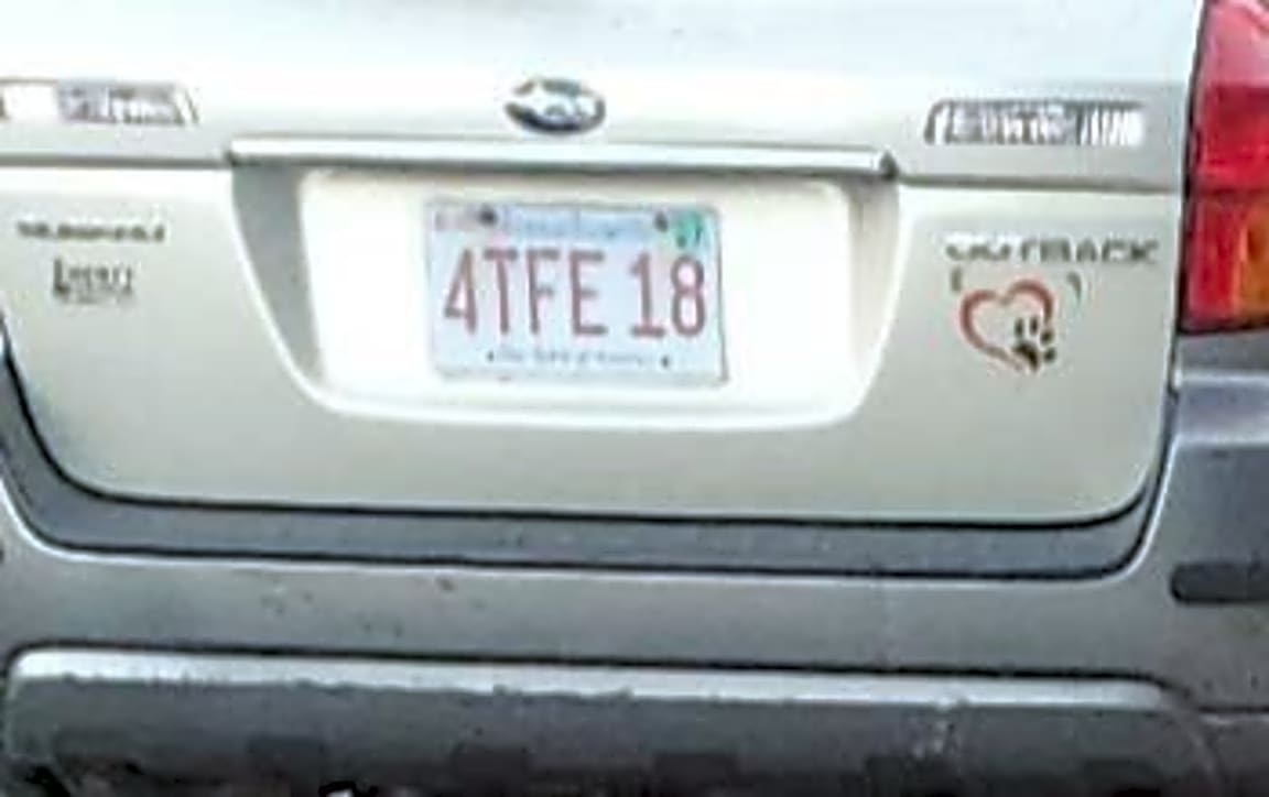 Image submitted with report