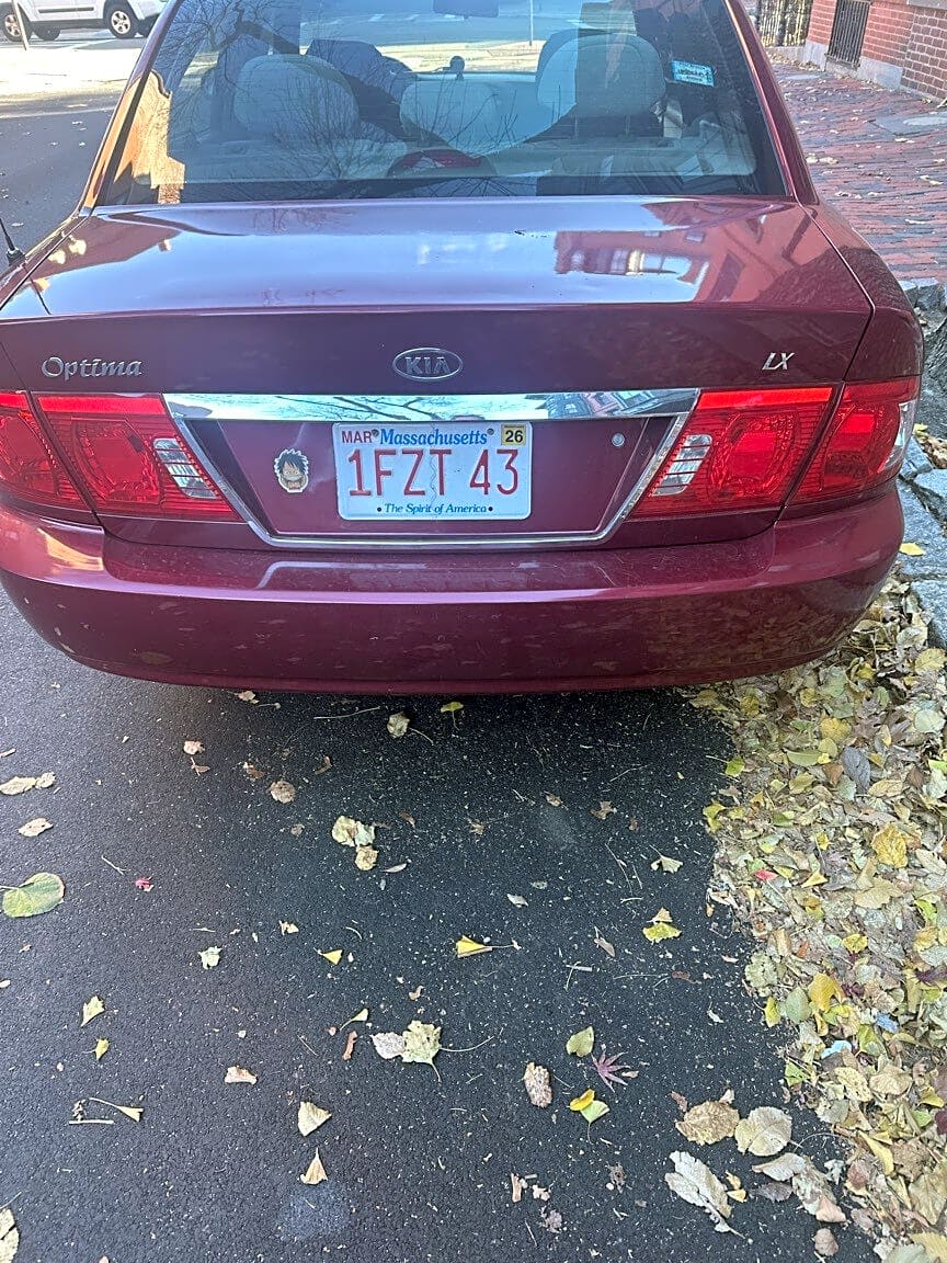 Image submitted with report