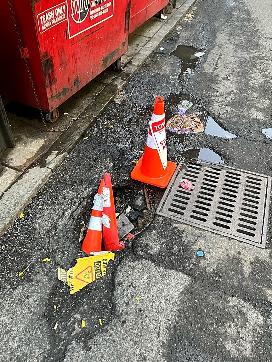 Image submitted with report