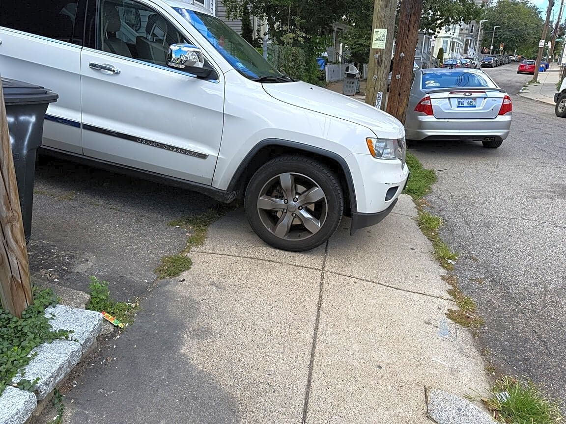 Image submitted with report