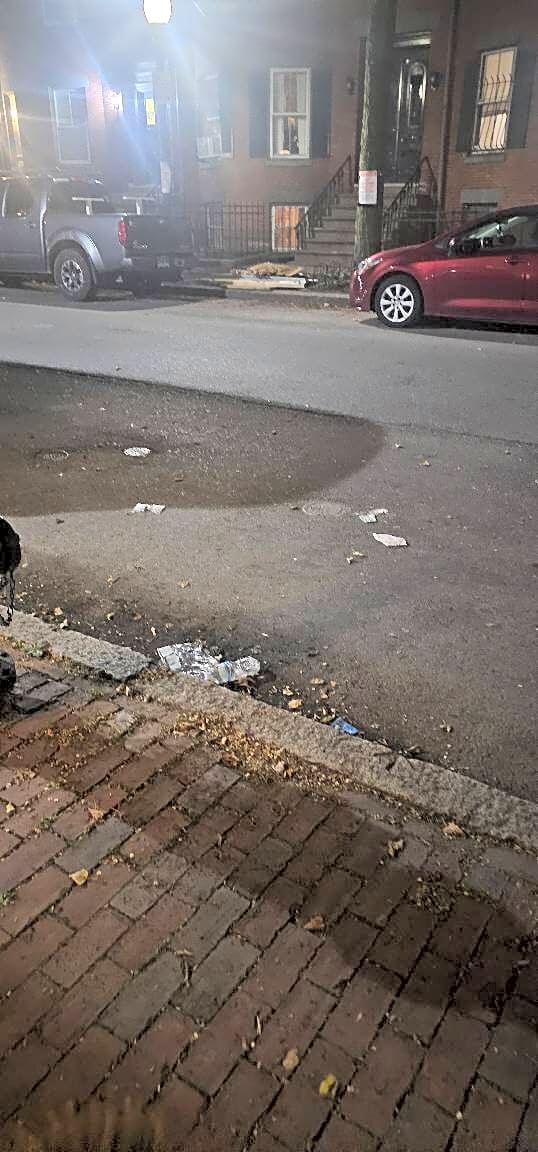 Image submitted with report