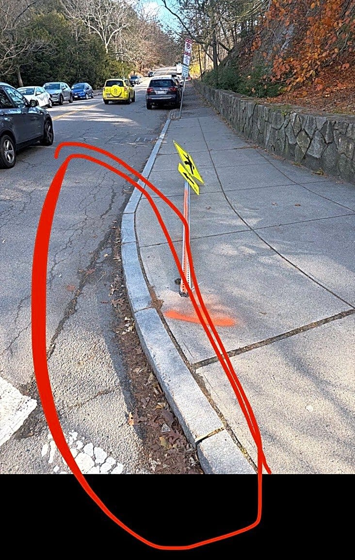 Image submitted with report