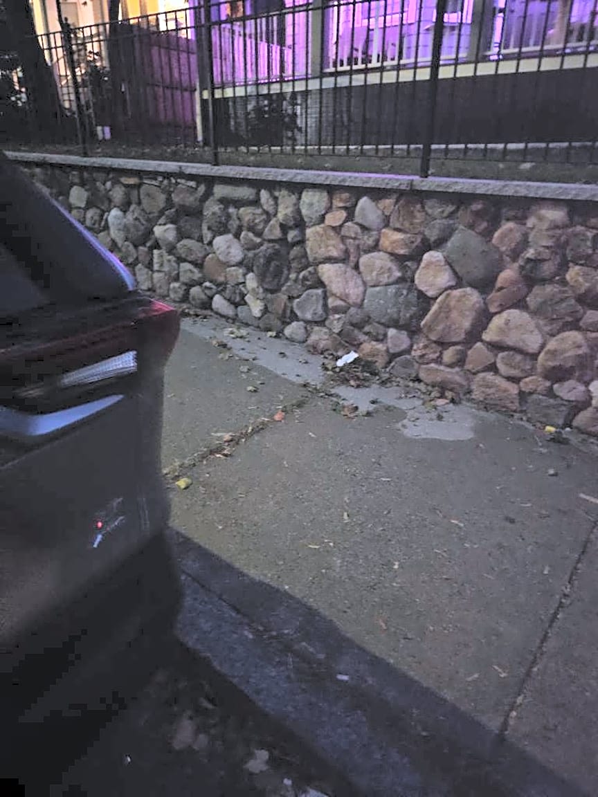 Image submitted with report