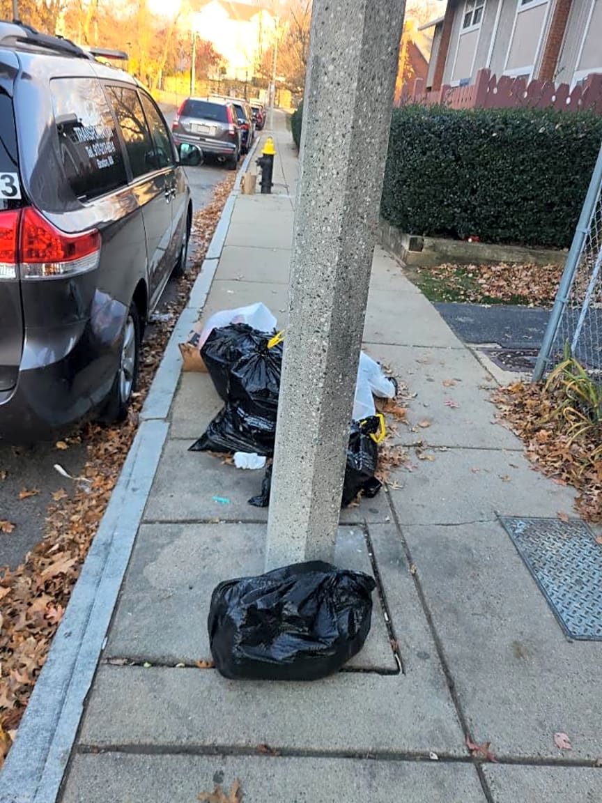 Image submitted with report
