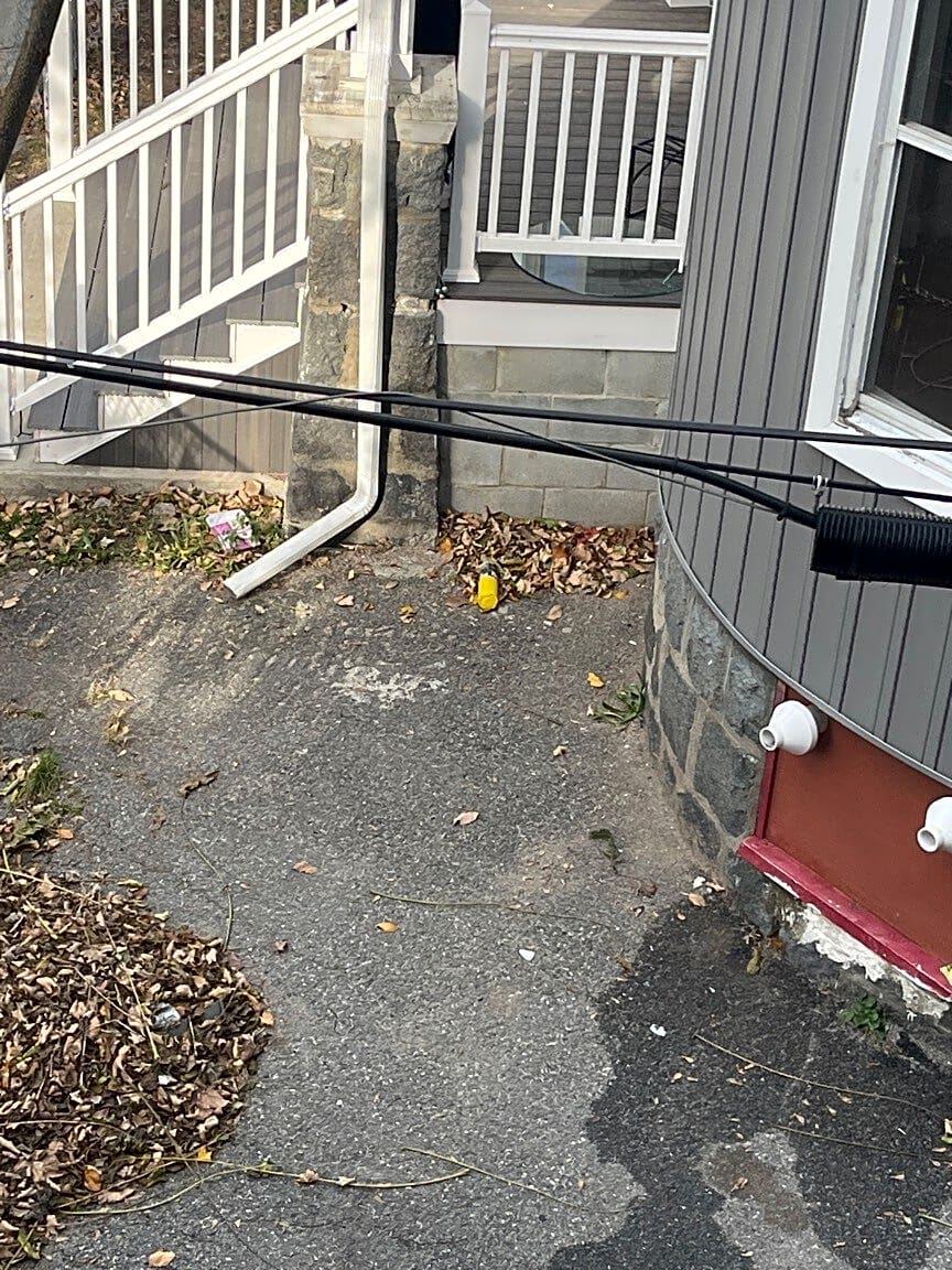 Image submitted with report