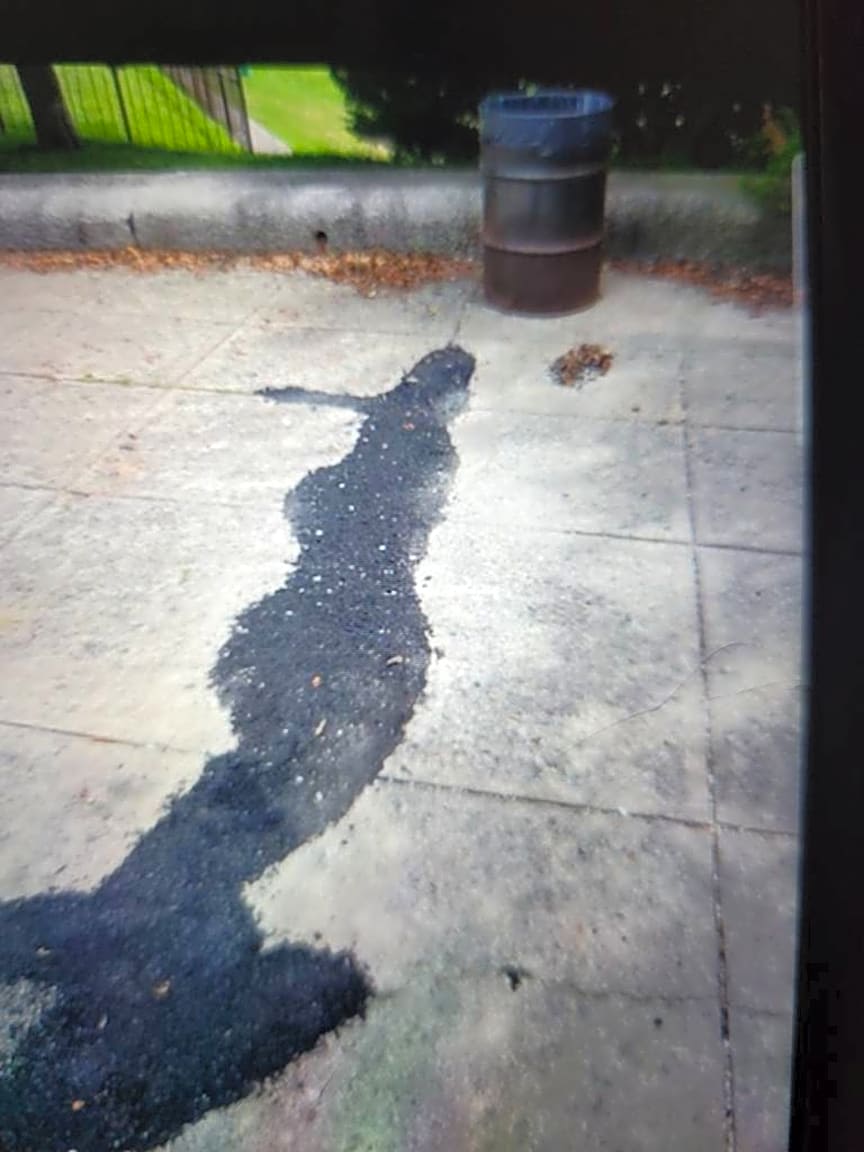 Image submitted with report