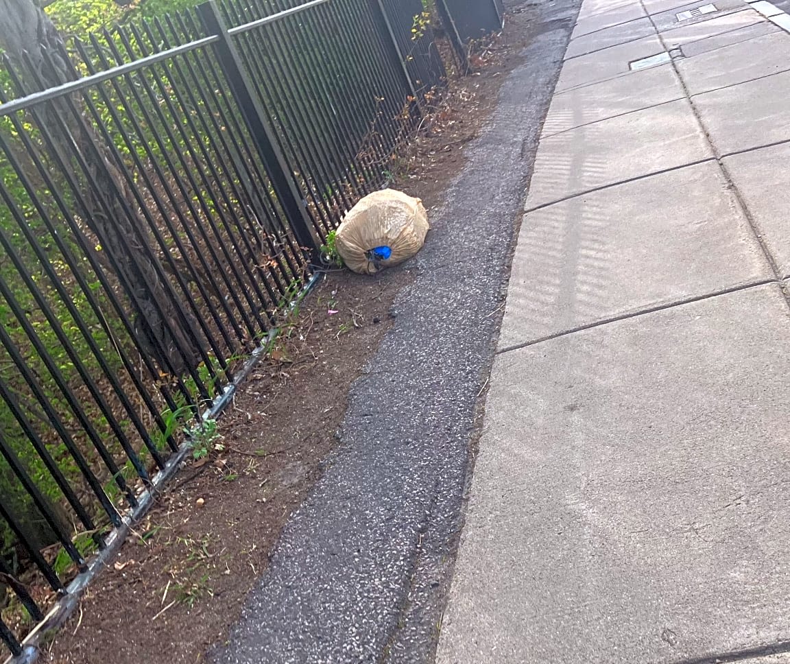 Image submitted with report