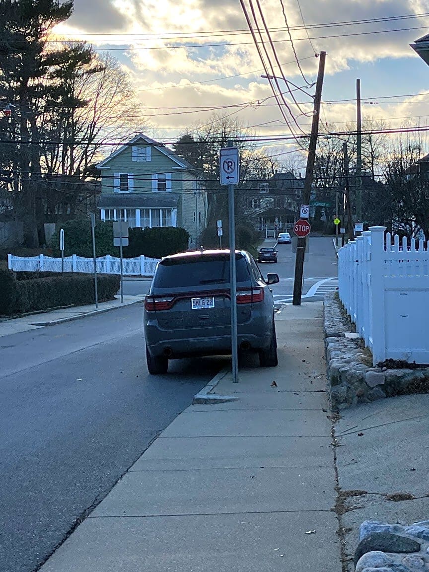 Image submitted with report