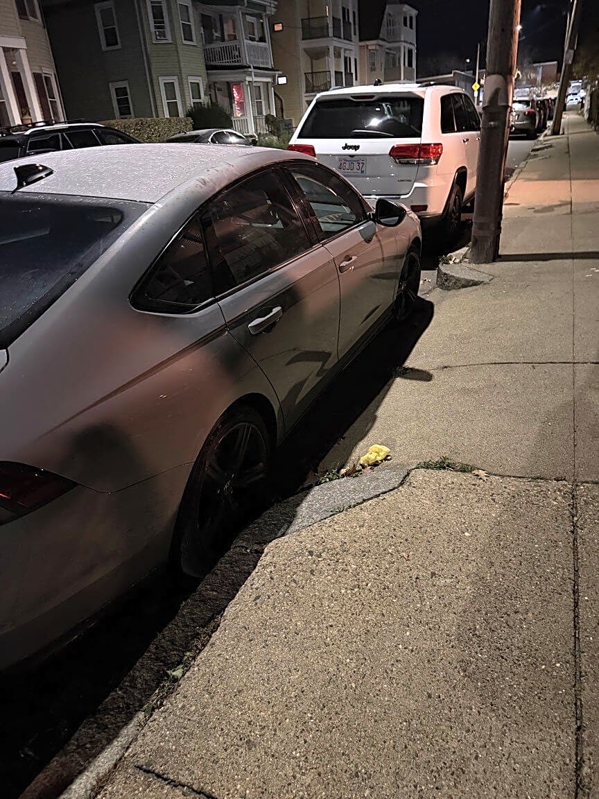 Image submitted with report