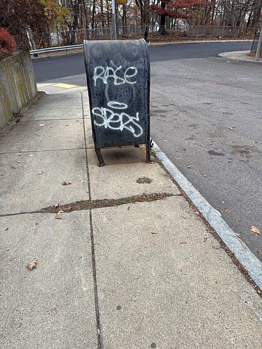 Image submitted with report