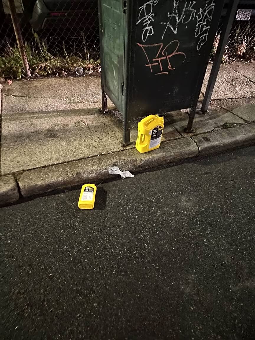 Image submitted with report