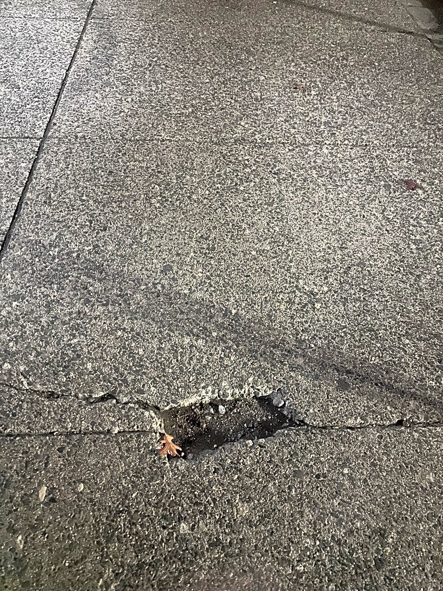 Image submitted with report