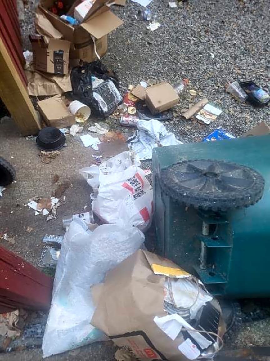 Image submitted with report