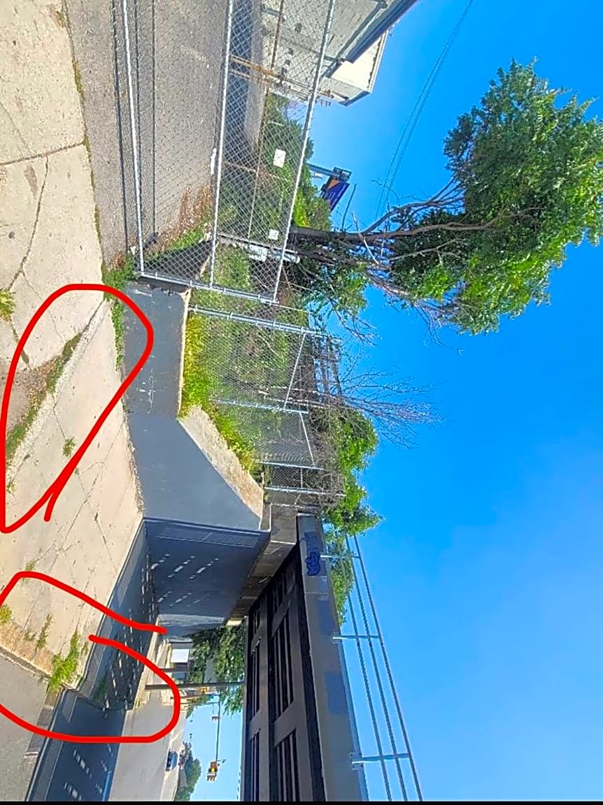 Image submitted with report