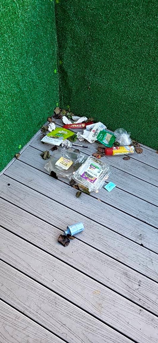 Image submitted with report