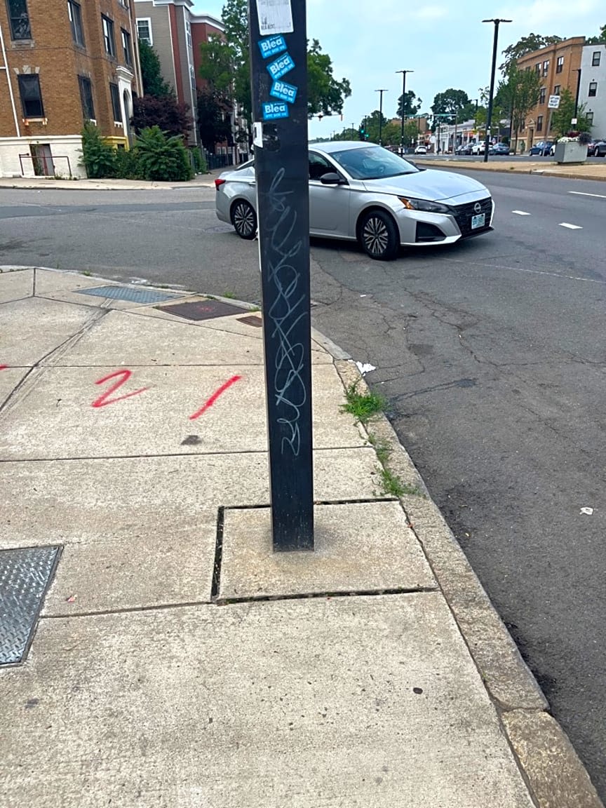 Image submitted with report