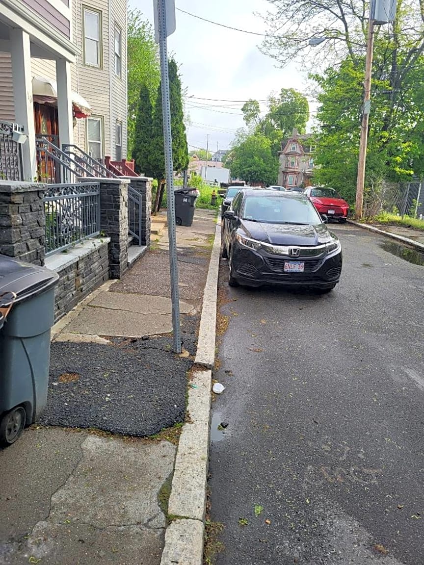 Image submitted with report