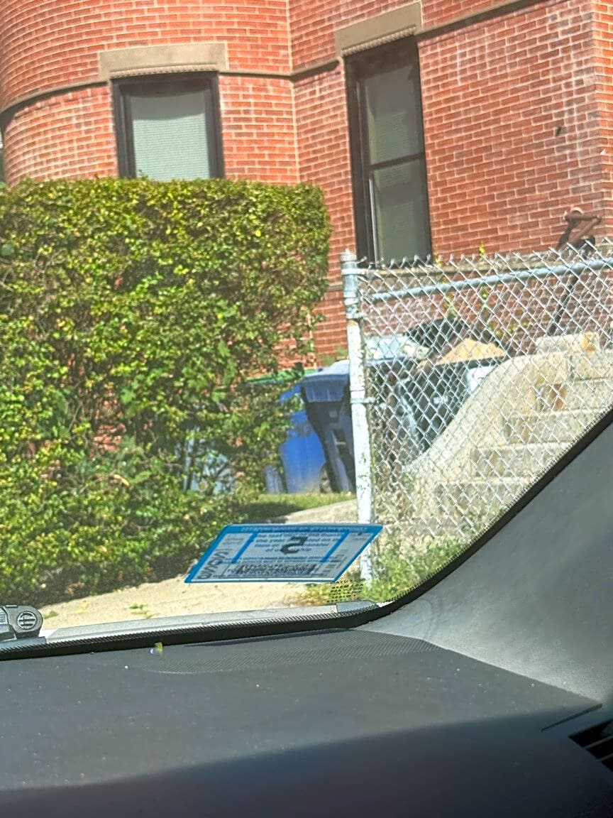 Image submitted with report