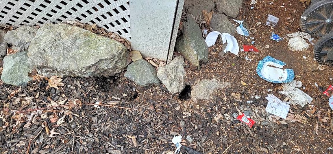 Image submitted with report