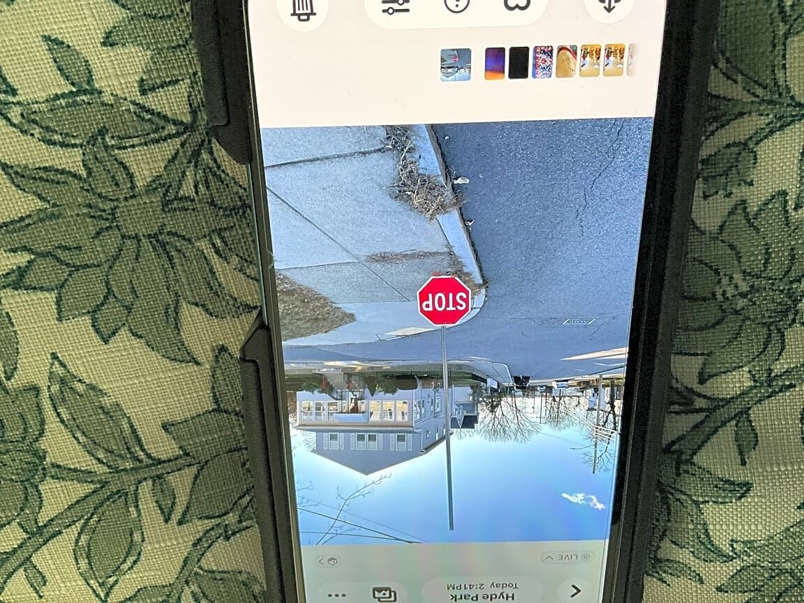 Image submitted with report