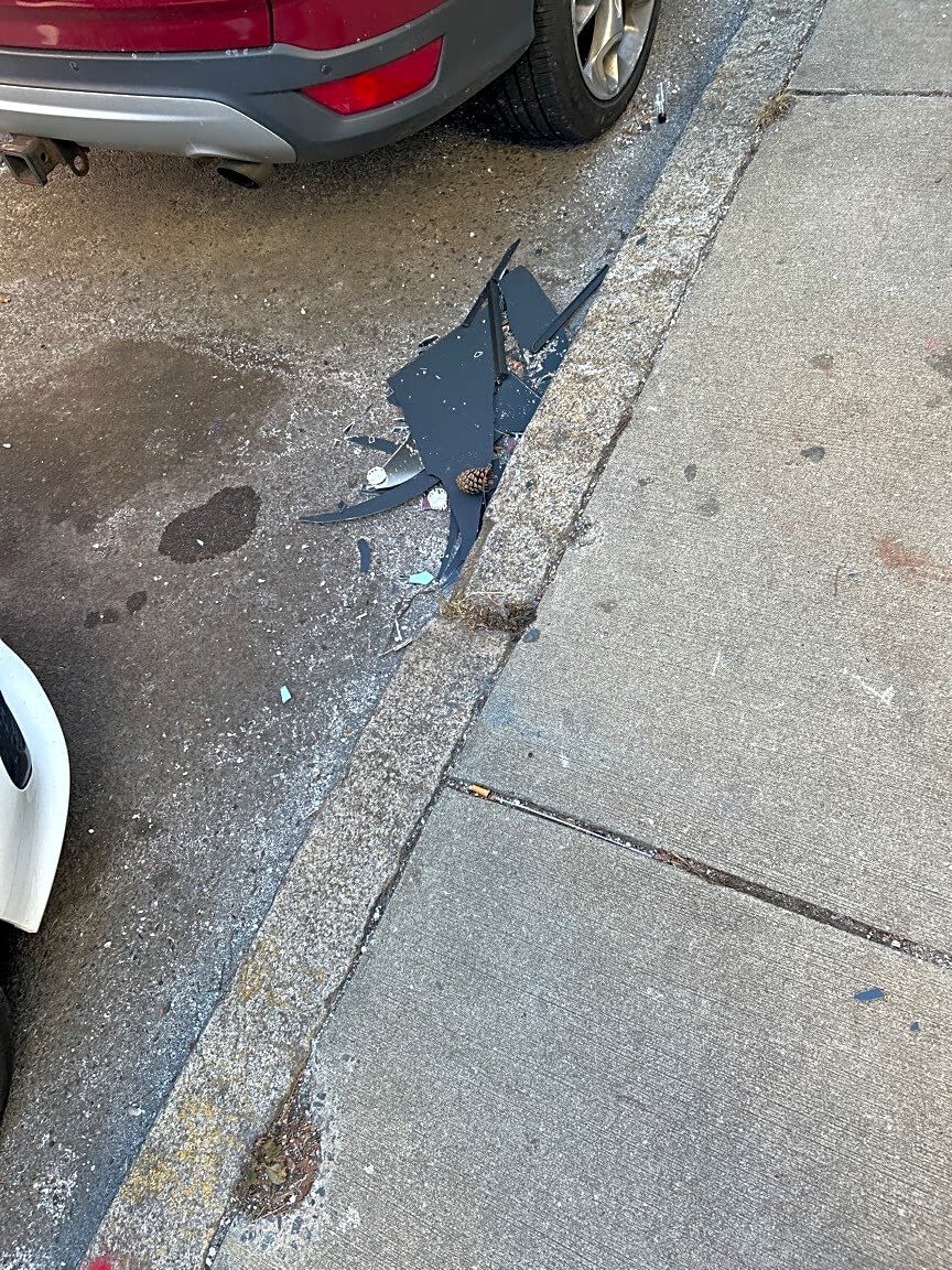 Image submitted with report