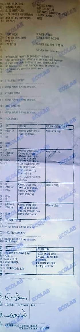Image submitted with report