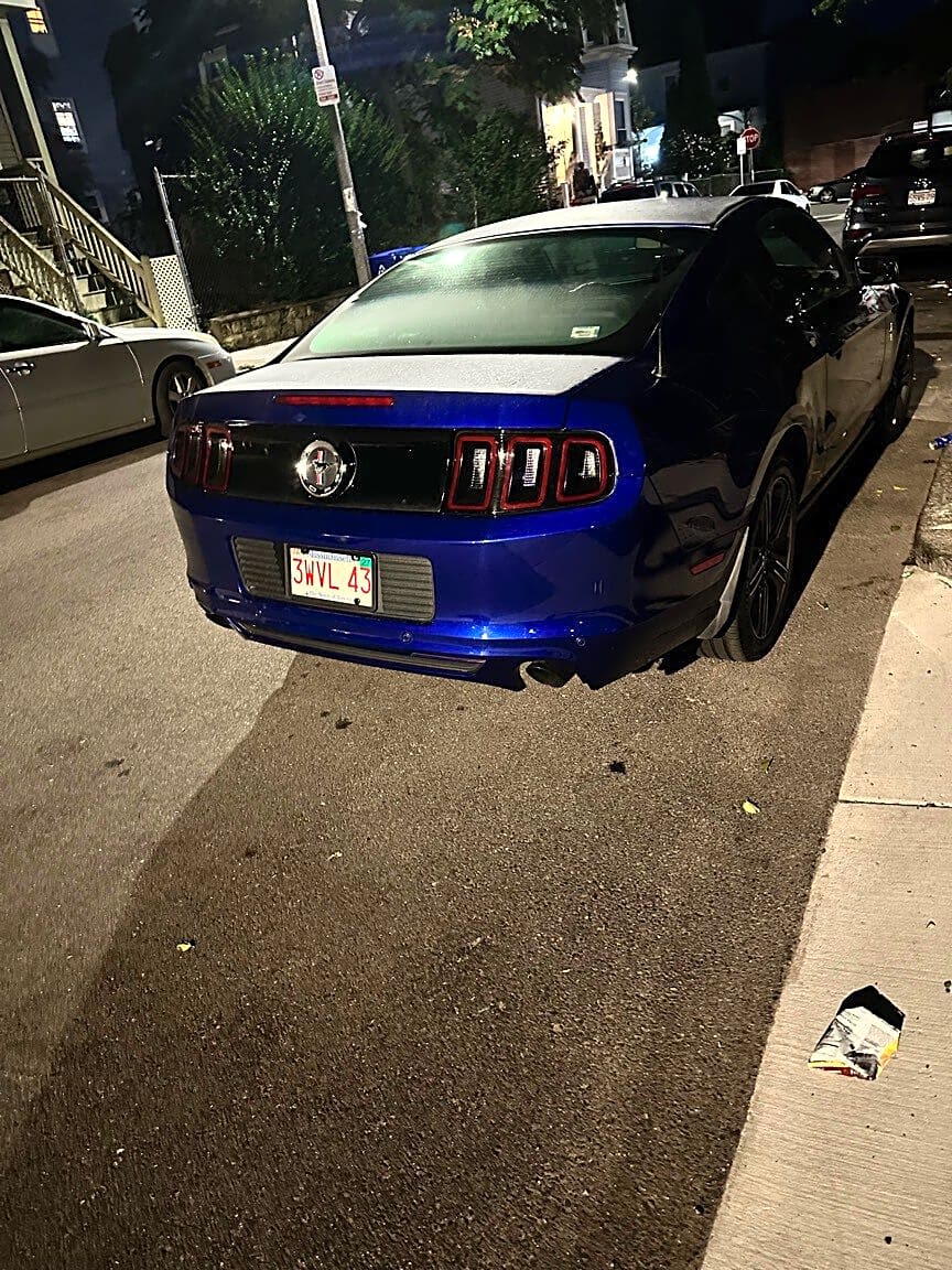 Image submitted with report