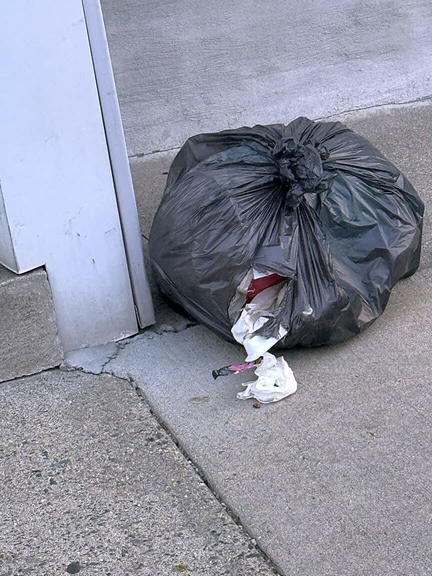 Image submitted with report